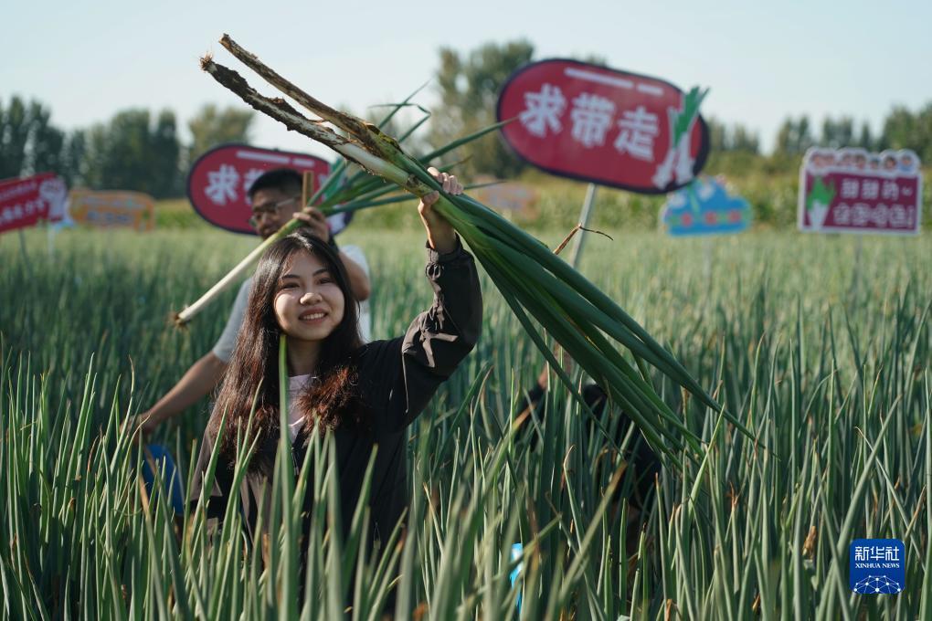 捕鱼游戏下载
